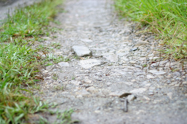 Similar image 731076