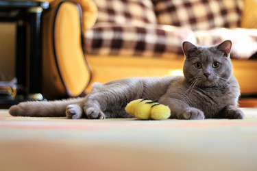 Similar image 731094