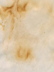 Similar image 731106