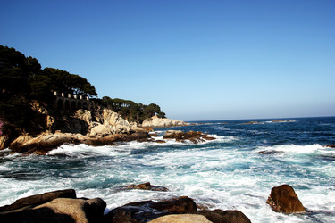 Similar image 731107