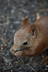 Similar image 731119