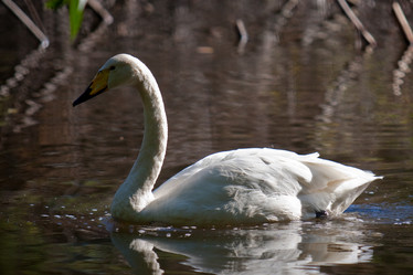 Similar image 731131