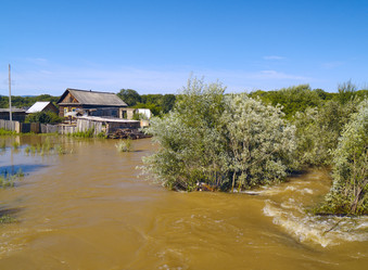 Similar image 731158