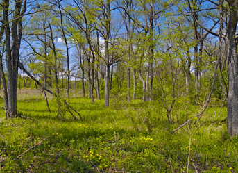 Similar image 731159