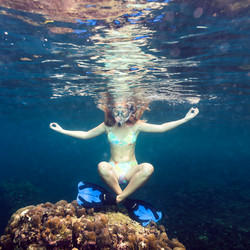 Similar image 731282