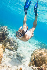 Similar image 731283