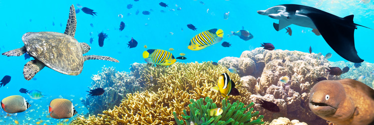 Similar image 731287