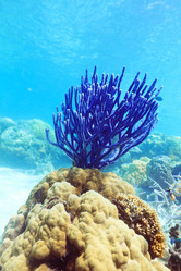 Similar image 731288