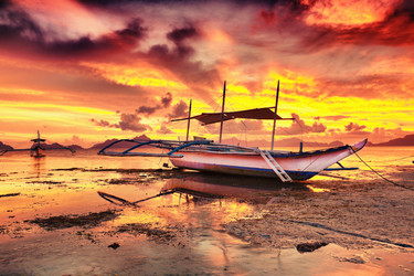 Similar image 731292