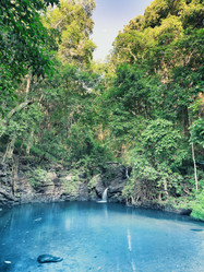 Similar image 731305