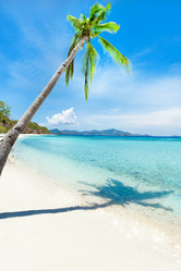 Similar image 731312