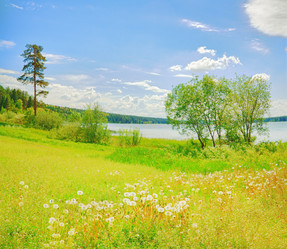 Similar image 731315