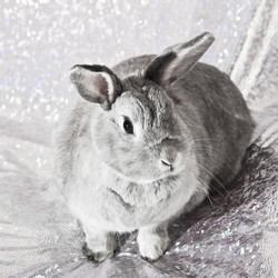 Similar image 731317