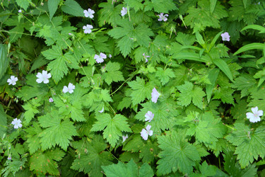 Similar image 731322