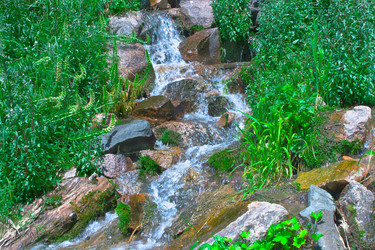 Similar image 731323