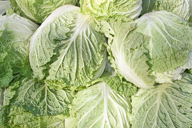 Similar image 731327