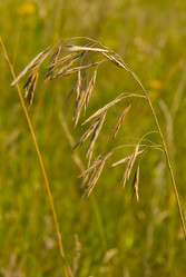 Similar image 731342