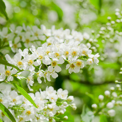 Similar image 731404