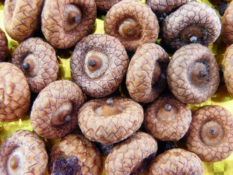 Similar image 731435