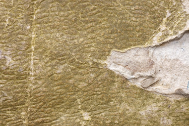 Similar image 731462