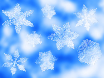 Similar image 731522