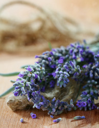 Similar image 731602