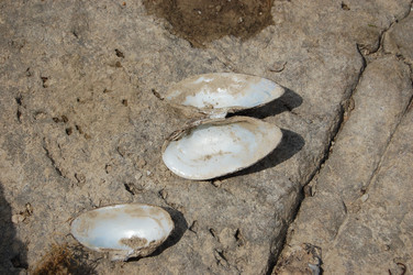 Similar image 731637