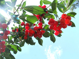 Similar image 731650