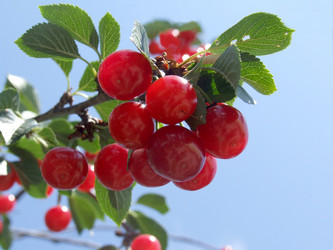 Similar image 731651