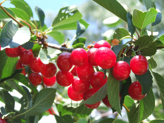 Similar image 731652