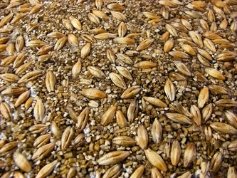 Similar image 731684