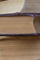 Similar image 731691