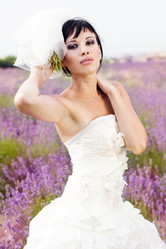 Similar image 731695