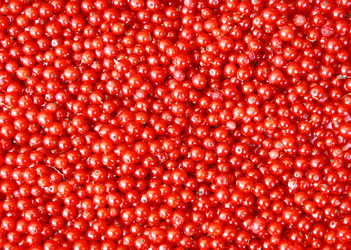 Similar image 731697