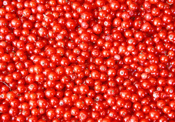 Similar image 731700