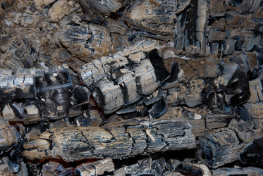 Similar image 731701