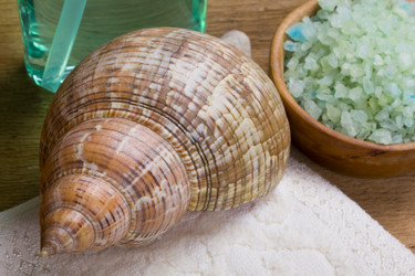 Similar image 731702