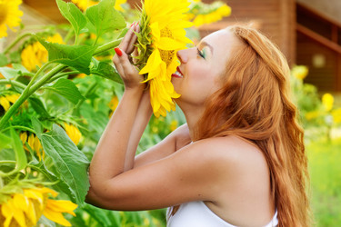 Similar image 731711