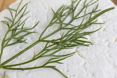 Similar image 731722