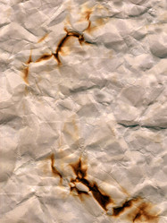 Similar image 731776