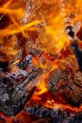 Similar image 731787