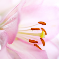 Similar image 731790