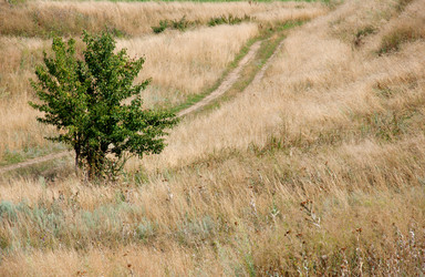 Similar image 731831