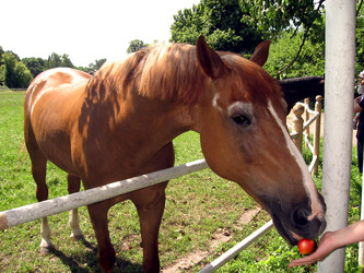 Similar image 731894