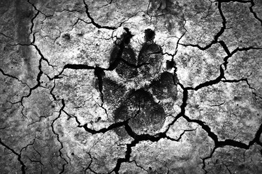 Similar image 731952