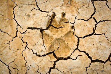 Similar image 731954