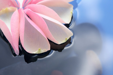 Similar image 731980