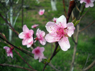 Similar image 731994