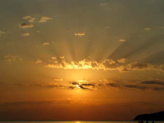 Similar image 732001