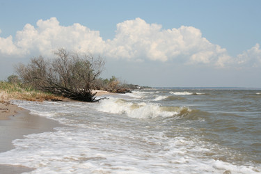 Similar image 732003